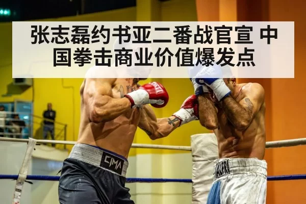 chinese heavyweight boxer