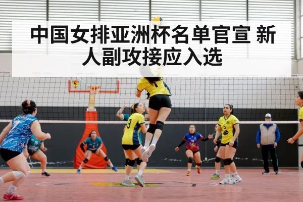 chinese women volleyball team