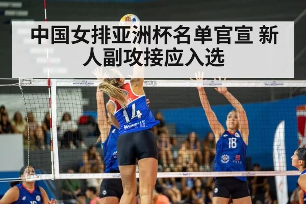 volleyball spike action